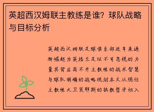 英超西汉姆联主教练是谁？球队战略与目标分析